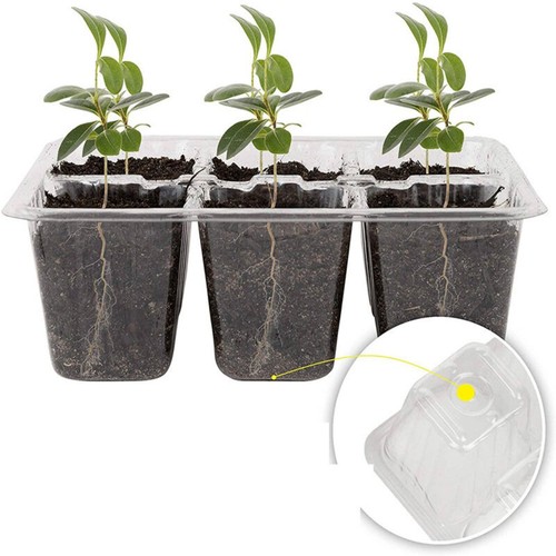 Mini serre germination 12 - mini, de