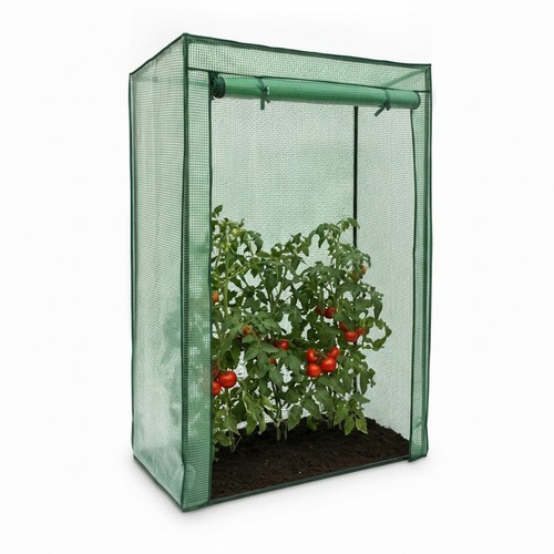 Serre tomates tente culture - serre, de