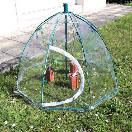 Mini serre cloche déployable - cloche,