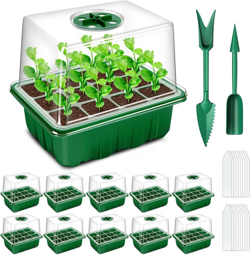 Mini serre pour plantes - pour, plantes,