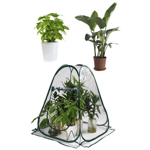 Serre pop pratique - pop-up, une