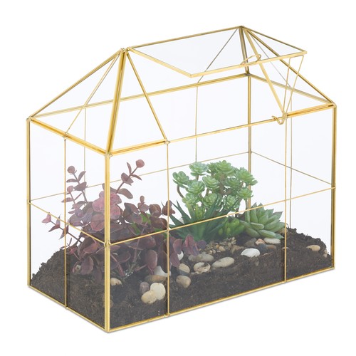 Terrarium ecosysteme - ecosysteme,